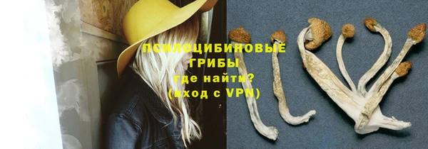 хмурый Алексеевка