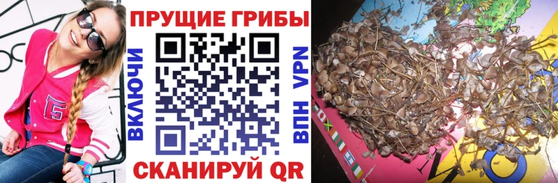 Галлюциногенные грибы ЛСД  Киселёвск 